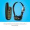 Show in main carousel: Garmin Sport PRO Training Collar Bundle, Black  slide 4 of 9