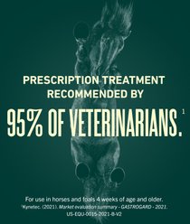 GastroGard (Omeprazole) Oral Paste for Horses, 2.28 g, 1 syringe slide 2 of 6