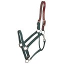 Gatsby Classic Nylon Horse Breakaway Halter & Snap, Hunter, Horse