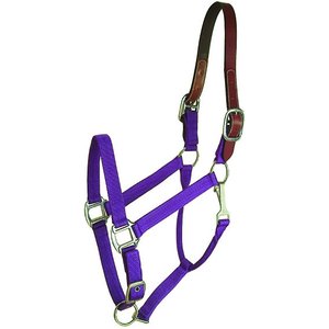Weaver Equine Adjustable Breakaway Horse Halter