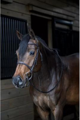 Show full view: Gatsby Fancy Stitched Horse Bridle, Horse slide 8 of 9