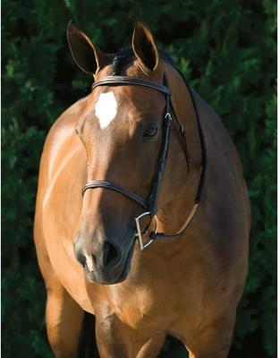 Show full view: Gatsby Fancy Stitched Horse Bridle, Horse slide 7 of 9