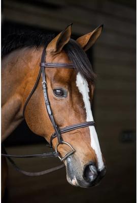 Show full view: Gatsby Fancy Stitched Horse Bridle, Horse slide 5 of 9