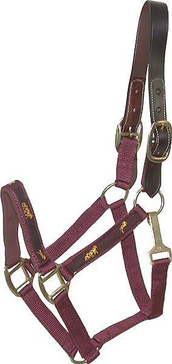 Gatsby Nylon Horse Lead & Snap