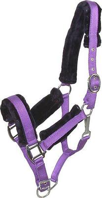 Show full view: Gatsby Nylon Removable Fleece Horse Halter, Purple, Horse slide 1 of 1