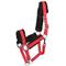 Show in main carousel: Gatsby Nylon Removable Fleece Horse Halter, Red, Cob slide 1 of 1