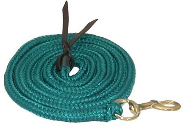Gatsby Polypropylene Cowboy Horse Lead, 10-ft