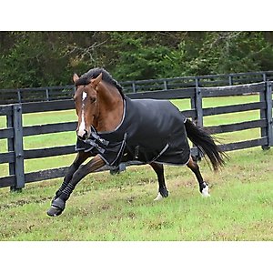 Gatsby Premium 1200D Waterproof Turnout Horse Sheet, Black, 84-in