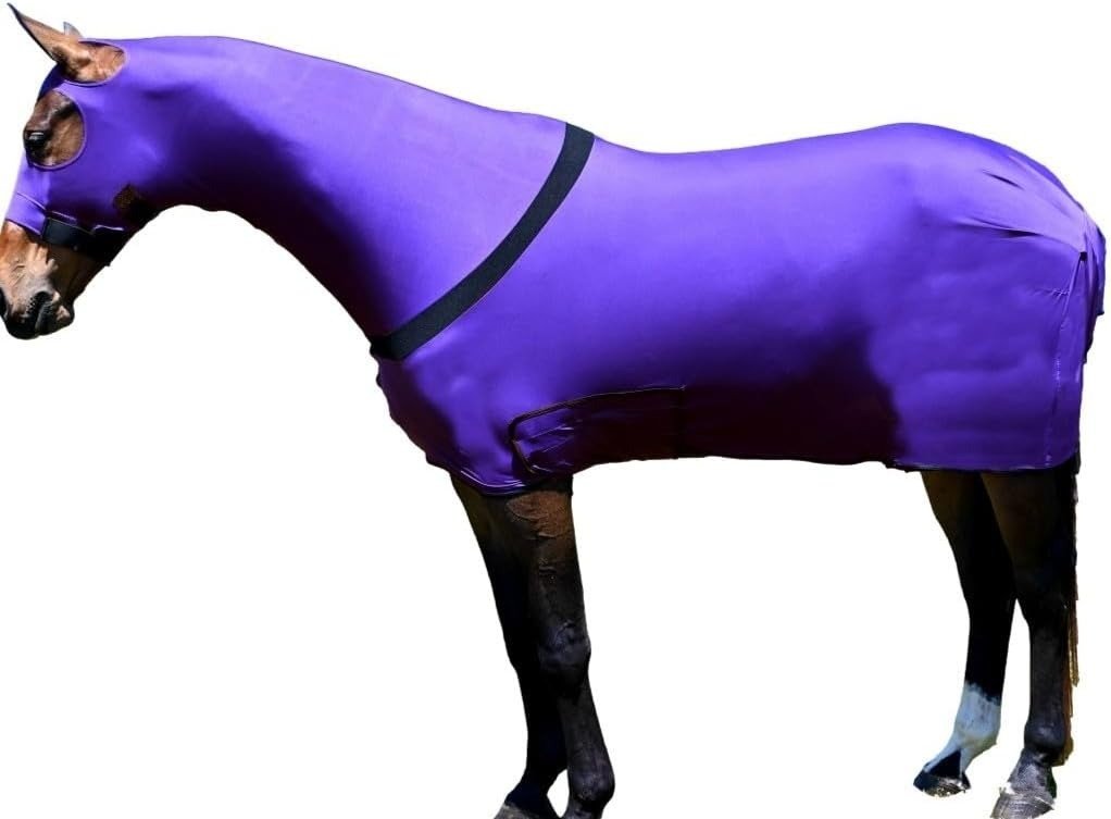 Gatsby StretchX Full Body Slicker Horse Sheet