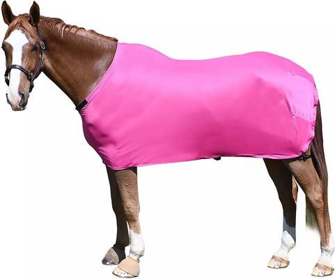 Show full view: Gatsby StretchX Full Horse Sheet, Hot Pink, Large slide 2 of 2