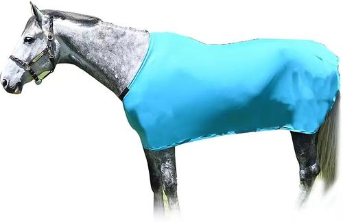 Show full view: Gatsby StretchX Full Horse Sheet, Teal, Large slide 2 of 3