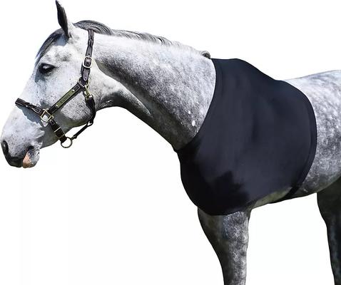 Show full view: Gatsby StretchX Horse Shoulder Guard, Medium slide 3 of 4