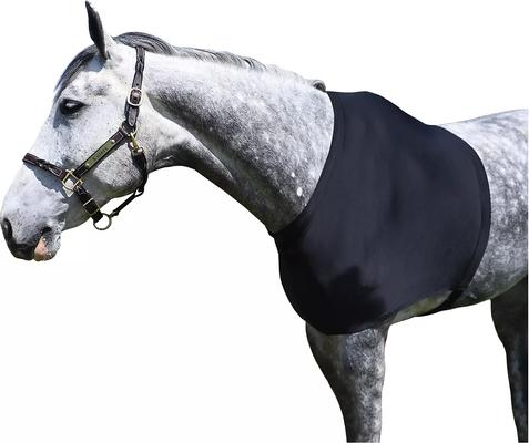 Show full view: Gatsby StretchX Horse Shoulder Guard, X-Large slide 3 of 4