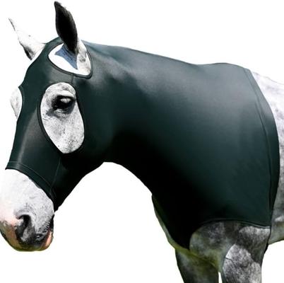 Show full view: Gatsby StretchX Mane Stay Horse Hood, Hunter, Medium slide 2 of 3