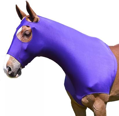 Show full view: Gatsby StretchX Mane Stay Horse Hood, Purple, Medium slide 2 of 3