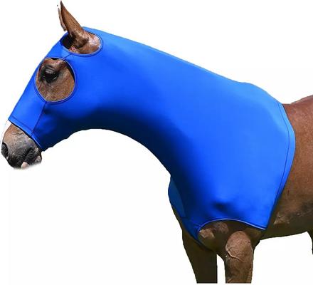 Show full view: Gatsby StretchX Mane Stay Horse Hood, Royal, Medium slide 3 of 4