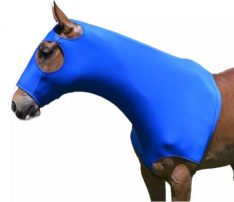 Show full view: Gatsby StretchX Mane Stay Horse Hood, Royal, Small slide 3 of 4