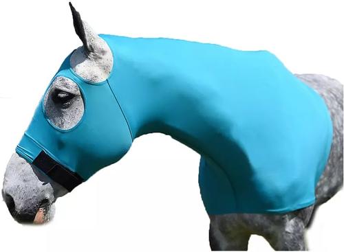 Show full view: Gatsby StretchX Mane Stay Horse Hood, Teal, Small slide 2 of 4