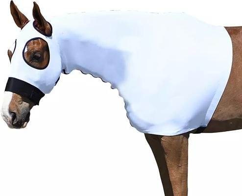 Show full view: Gatsby StretchX Mesh Slicker Horse Hood, Small slide 3 of 5