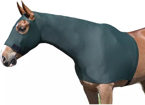 Show full view: Gatsby StretchX Pull On Slicker Horse Hood, Hunter, Small slide 2 of 3