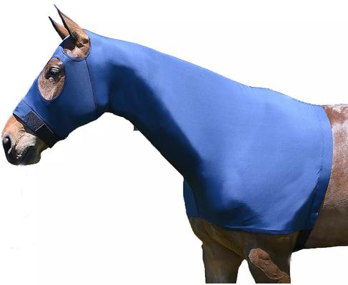 Show full view: Gatsby StretchX Pull On Slicker Horse Hood, Navy, Medium slide 2 of 3