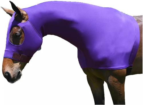 Show full view: Gatsby StretchX Pull On Slicker Horse Hood, Purple, X-Large slide 2 of 3