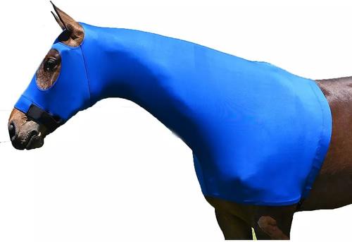 Show full view: Gatsby StretchX Pull On Slicker Horse Hood, Royal, Medium slide 2 of 3