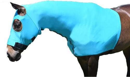 Show full view: Gatsby StretchX Pull On Slicker Horse Hood, Teal, Large slide 2 of 4