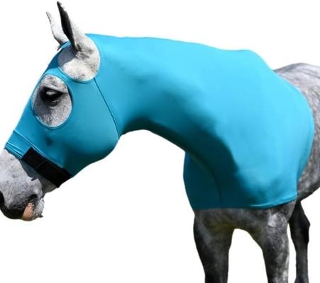 Show full view: Gatsby StretchX Pull On Slicker Horse Hood, Teal, Small slide 2 of 5