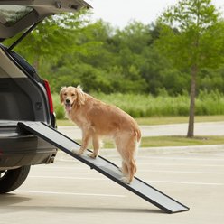 Gen7Pets Feather Lite Foldable Dog Car Ramp