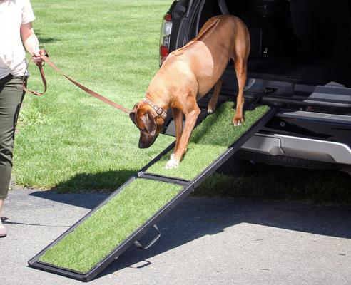 Show full view: Gen7Pets Natural-Step Foldable Dog Car Ramp slide 4 of 12