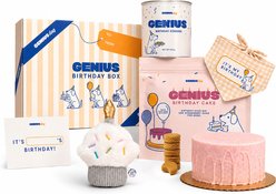 Genius Dog Birthday Party Gift Box Cake, Cookies, Bandana & Cupcake Squeaky Plush Dog Toy, White slide 1 of 7