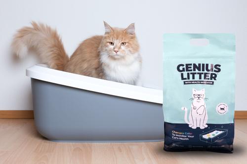 Show full view: Genius Litter with Health Indicator Cat Litter, 6-lbs slide 5 of 11
