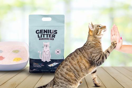 Show full view: Genius Litter with Health Indicator Cat Litter, 6-lbs slide 8 of 11