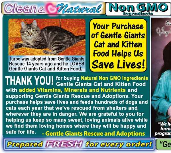 GENTLE GIANTS Natural Non-GMO Chicken & Fish Cat & Kitten Dry Cat Food ... - Non Gmo Kitten Food For Kittens