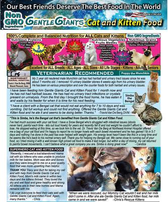 Show full view: Gentle Giants Natural Non-GMO Chicken & Fish Cat & Kitten Dry Cat Food, 3-lb bag slide 7 of 11