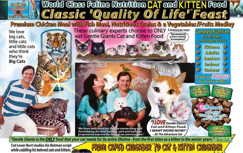 Show full view: Gentle Giants Natural Non-GMO Chicken & Fish Cat & Kitten Dry Cat Food, 9-lb bag slide 5 of 11