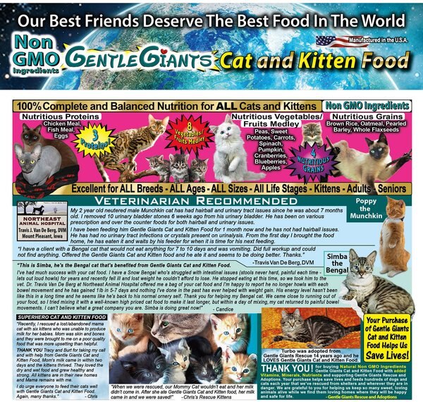 Gentle Giants Natural Non-GMO Chicken & Fish Cat & Kitten Dry Cat Food