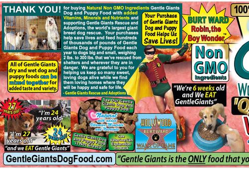 Show full view: Gentle Giants Natural Non-GMO Dog & Puppy Beef & Bacon Dry Dog Food, 24-lb bag slide 10 of 11