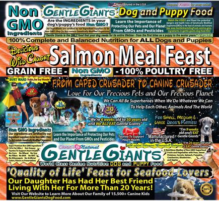 Show full view: Gentle Giants Non-GMO Dog & Puppy Food Grain-Free Salmon Dry Dog Food, 18-lb bag slide 3 of 11