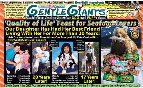Show full view: Gentle Giants Non-GMO Dog & Puppy Food Grain-Free Salmon Dry Dog Food, 18-lb bag slide 4 of 11
