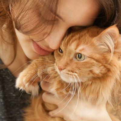 Show full view: Gerrard Larriett Aromatherapy Pet Care Dog & Cat Dental Spray, 8-fl oz bottle slide 8 of 9