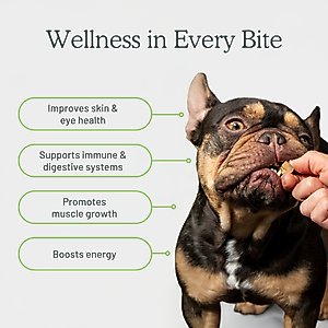 Get Joy Superfood Beef Organ Kidney High Protein, Grain & Gluten-Free Freeze-Dried Dog Treats, 4-oz bag