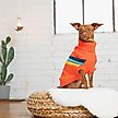 Show in main carousel: GF Pet Alpine Dog Sweater, Orange, 3X-Large slide 3 of 7