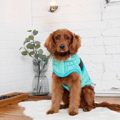 Show full view: GF Pet Alpine Puffer Dog Coat, Light Aqua, Large slide 3 of 7