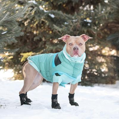 Show full view: GF Pet Alpine Puffer Dog Coat, Light Aqua, Medium slide 6 of 7