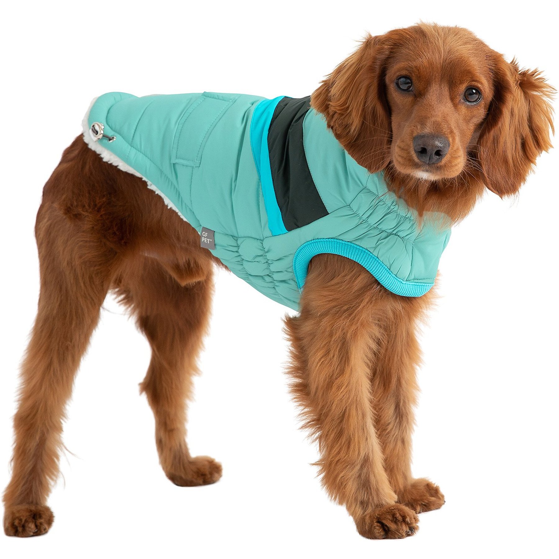 GF Pet Alpine Puffer Dog Coat, Light Aqua, X-Small