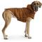 Show in main carousel: GF Pet Arctic Parka Dog Coat, Wood, Small slide 9 of 11