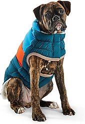 GF Pet Block Color Puffer Dog Coat, Dark Teal, Medium