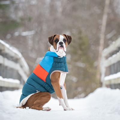 Show full view: GF Pet Block Color Puffer Dog Coat, Dark Teal, X-Large slide 7 of 9